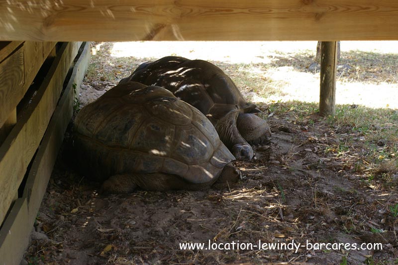 Vallée des tortues Vallée des tortues